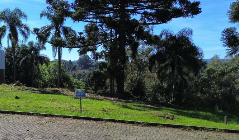 B-18     TERRENO FANTÁSTICO COM LINDÍSSIMA VISTA PANORÂMICA