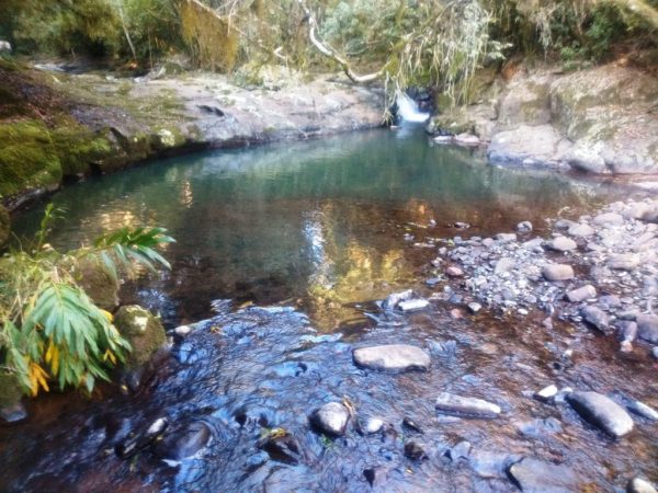B-521     LINDA ÁREA DE TERRAS/SÍTIO COM RIO, ÁGUA DE POÇO ARTESIANO E LUZ!!!