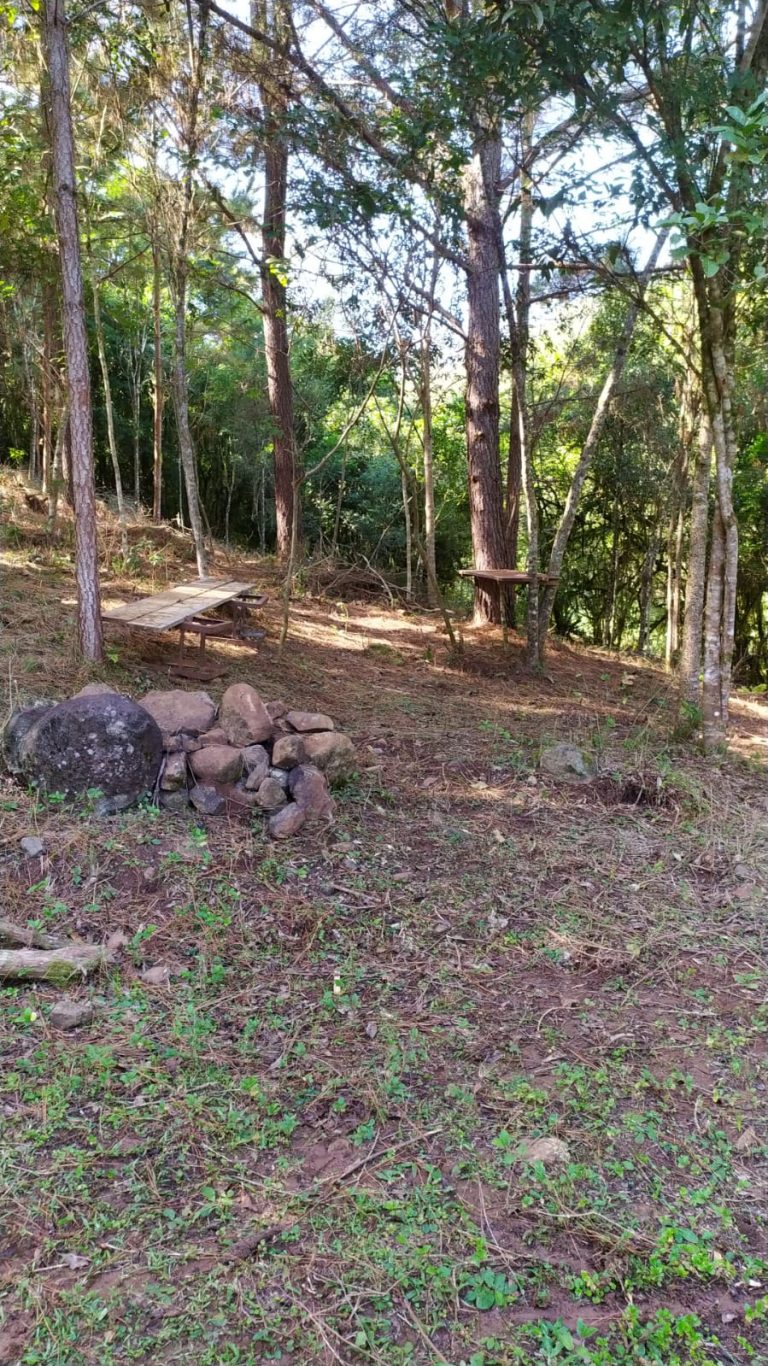 B-521     LINDA ÁREA DE TERRAS/SÍTIO COM RIO, ÁGUA DE POÇO ARTESIANO E LUZ!!!