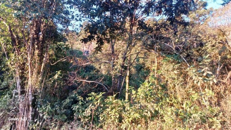 B-595     7,5 HECTARES DE TERRA COM AMPLA FRENTE E FANTÁSTICA VISTA PANORÂMICA!!!