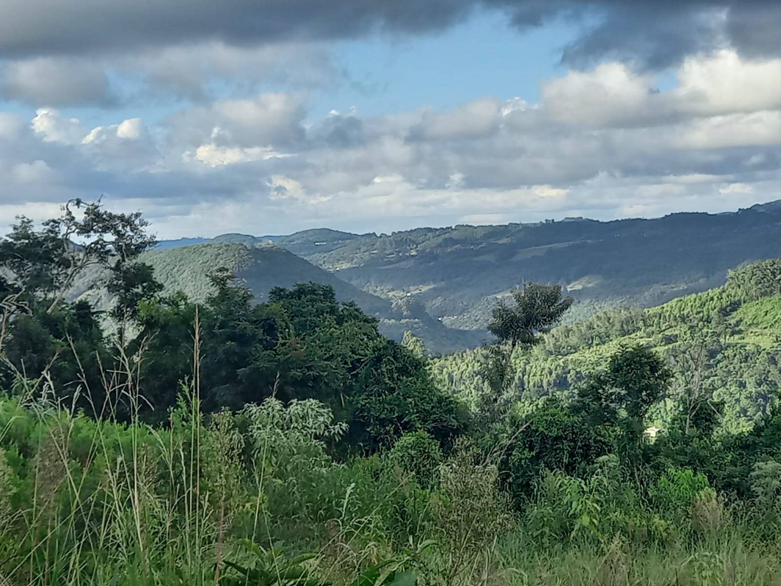 B-914 ÁREA DE TERRAS COM EXCELENTE LOCALIZAÇÃO EM MORRO REUTER