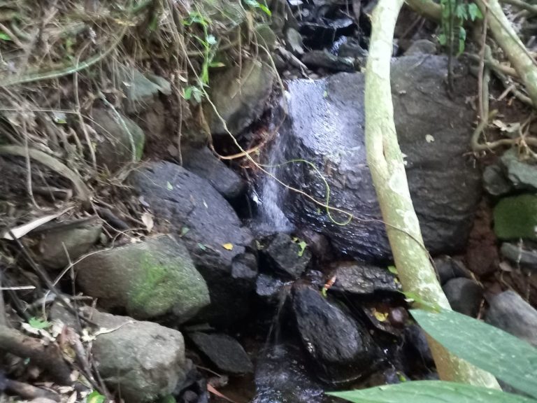 B-914 ÁREA DE TERRAS COM EXCELENTE LOCALIZAÇÃO EM MORRO REUTER