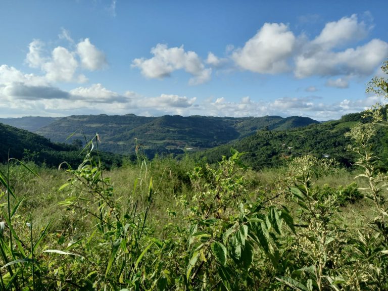 B-914 ÁREA DE TERRAS COM EXCELENTE LOCALIZAÇÃO EM MORRO REUTER