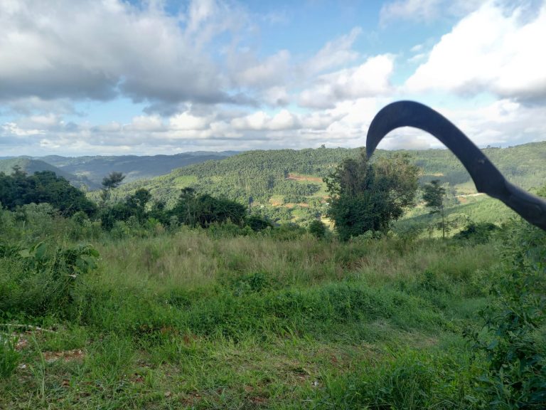 B-914 ÁREA DE TERRAS COM EXCELENTE LOCALIZAÇÃO EM MORRO REUTER
