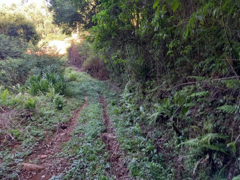 B-914 ÁREA DE TERRAS COM EXCELENTE LOCALIZAÇÃO EM MORRO REUTER