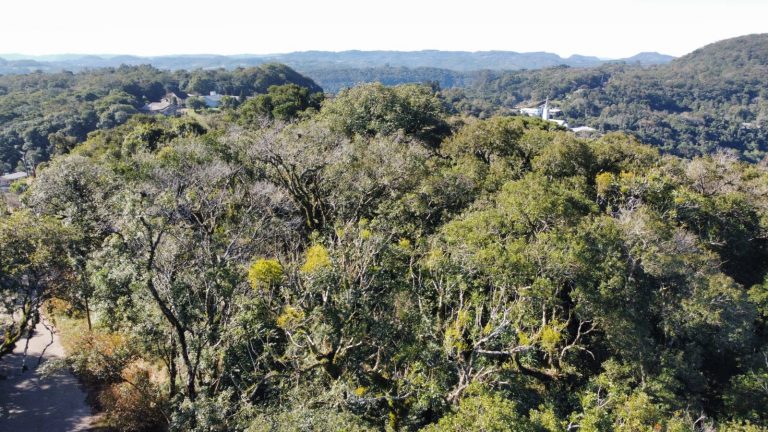 B-913 ÁREA DE TERRAS COM EXUBERANTE VISTA PANORÂMICA EM MORRO REUTERR