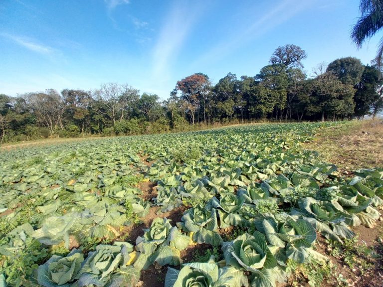 B-910 LINDA CHÁCARA EM SANTA MARIA DO HERVAL NA DIVISA COM GRAMADO