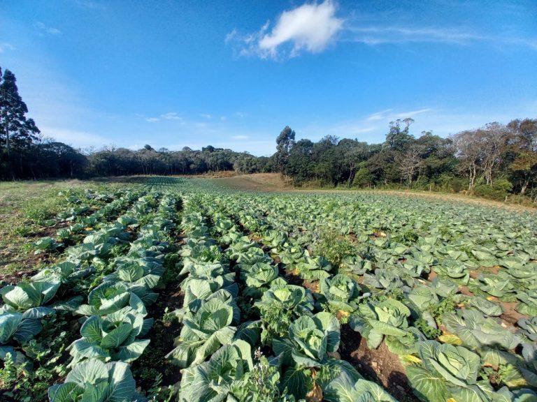 B-910 LINDA CHÁCARA EM SANTA MARIA DO HERVAL NA DIVISA COM GRAMADO