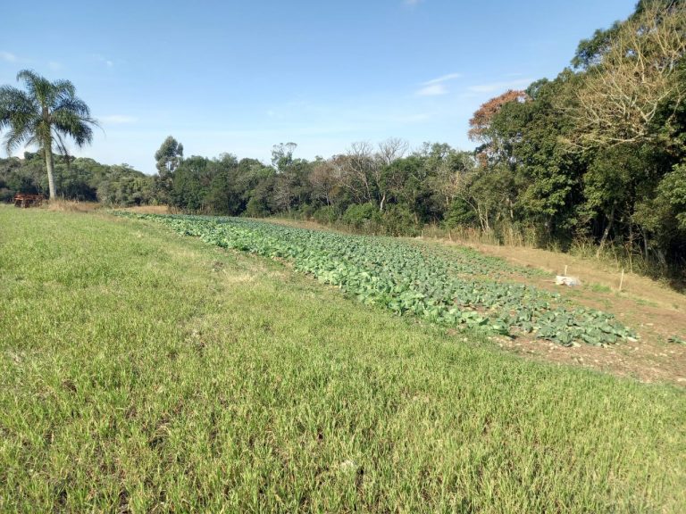 B-910 LINDA CHÁCARA EM SANTA MARIA DO HERVAL NA DIVISA COM GRAMADO