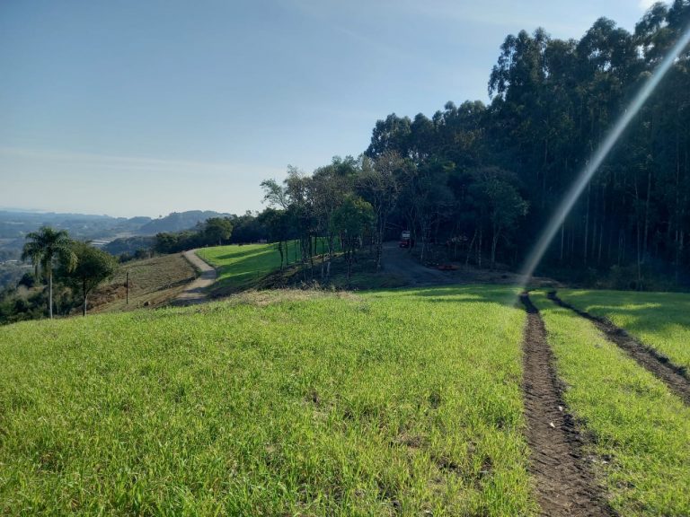 B-910 LINDA CHÁCARA EM SANTA MARIA DO HERVAL NA DIVISA COM GRAMADO