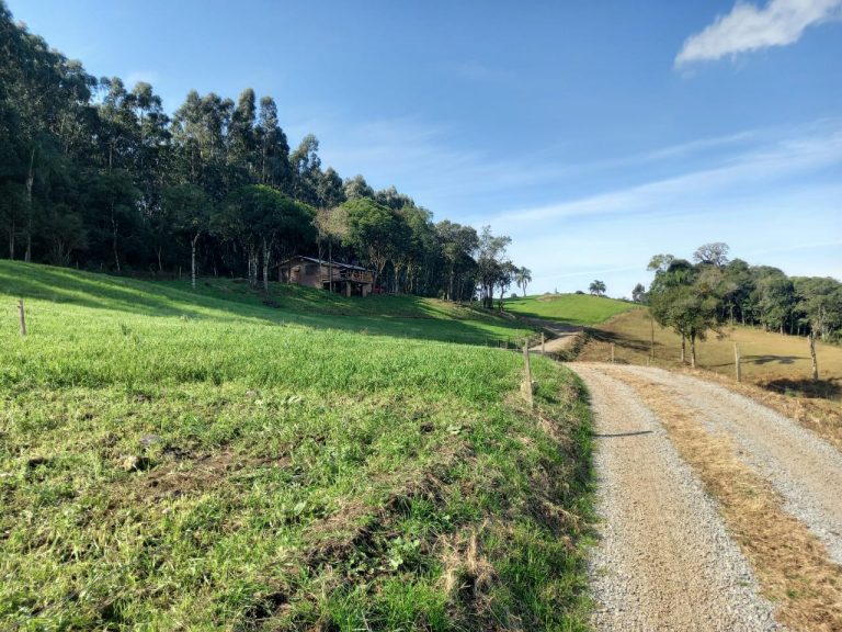 B-910 LINDA CHÁCARA EM SANTA MARIA DO HERVAL NA DIVISA COM GRAMADO