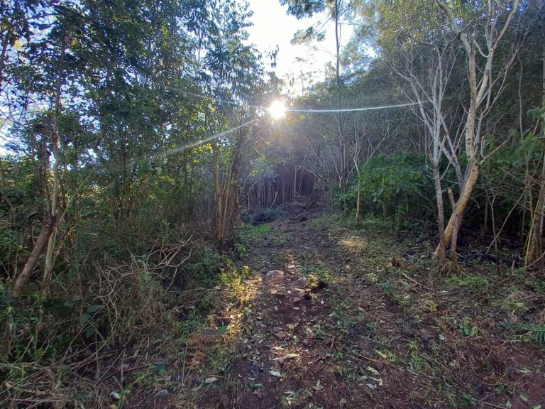 B-913 ÁREA DE TERRAS COM EXUBERANTE VISTA PANORÂMICA EM MORRO REUTERR