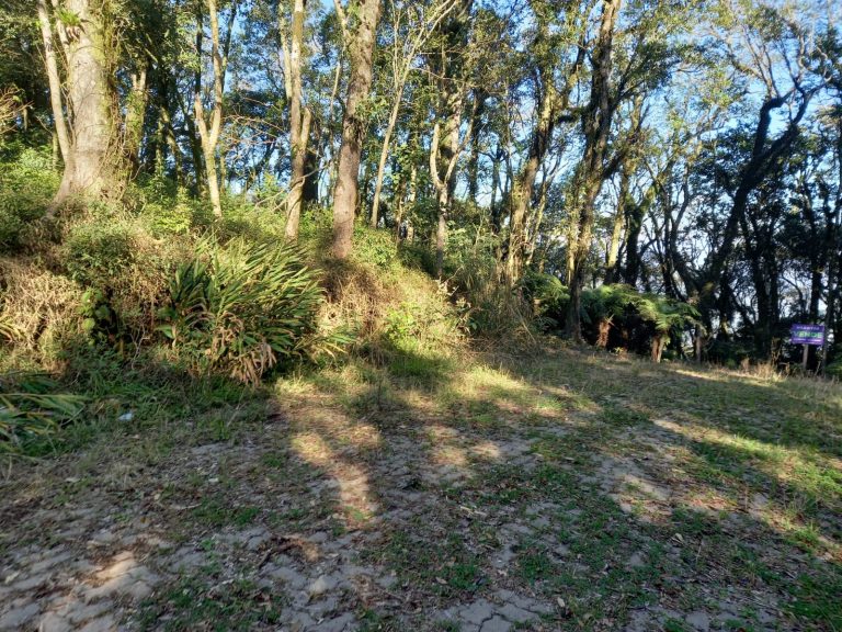 B-913 ÁREA DE TERRAS COM EXUBERANTE VISTA PANORÂMICA EM MORRO REUTERR