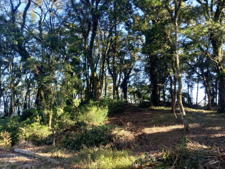 B-913 ÁREA DE TERRAS COM EXUBERANTE VISTA PANORÂMICA EM MORRO REUTERR