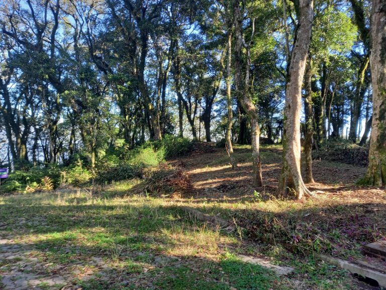 B-913 ÁREA DE TERRAS COM EXUBERANTE VISTA PANORÂMICA EM MORRO REUTERR