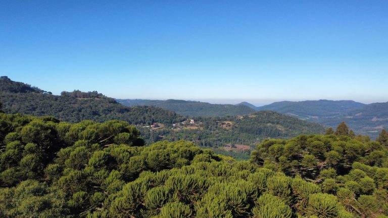 B-913 ÁREA DE TERRAS COM EXUBERANTE VISTA PANORÂMICA EM MORRO REUTERR