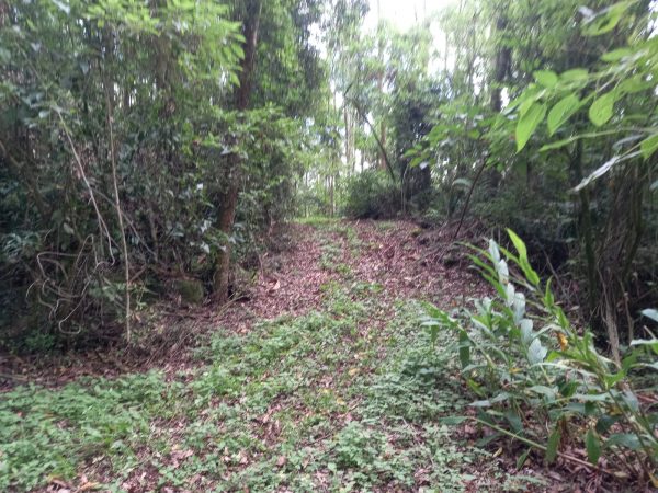 B-912 ÁREA DE TERRAS EM SANTA MARIA DO HERVAL