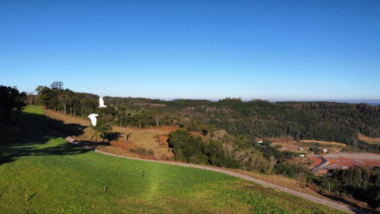 B-910 LINDA CHÁCARA EM SANTA MARIA DO HERVAL NA DIVISA COM GRAMADO