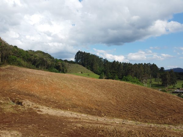 B-733  Área de Terras à Venda em Santa Maria do Herval – Beleza Natural e Grande Potencial!