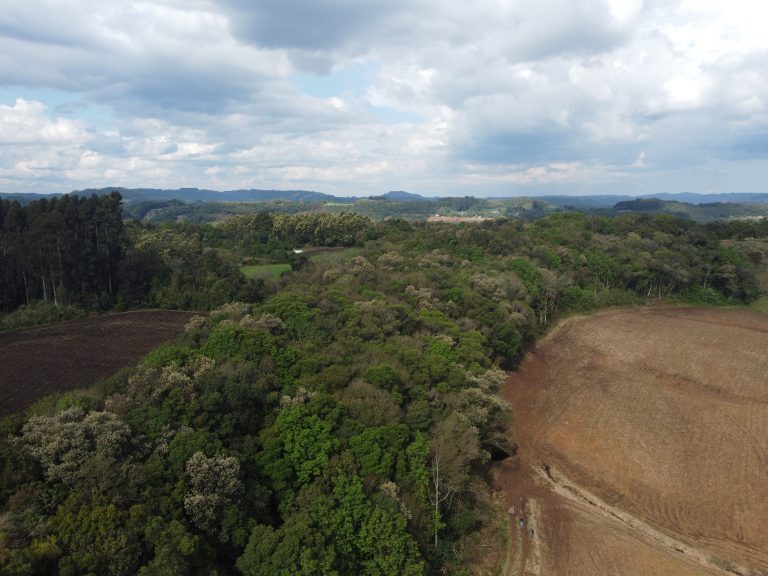 B-733  Área de Terras à Venda em Santa Maria do Herval – Beleza Natural e Grande Potencial!