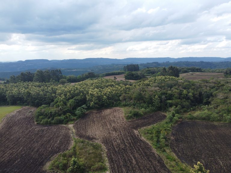 B-733  Área de Terras à Venda em Santa Maria do Herval – Beleza Natural e Grande Potencial!