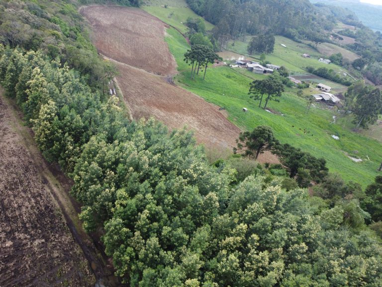 B-733  Área de Terras à Venda em Santa Maria do Herval – Beleza Natural e Grande Potencial!
