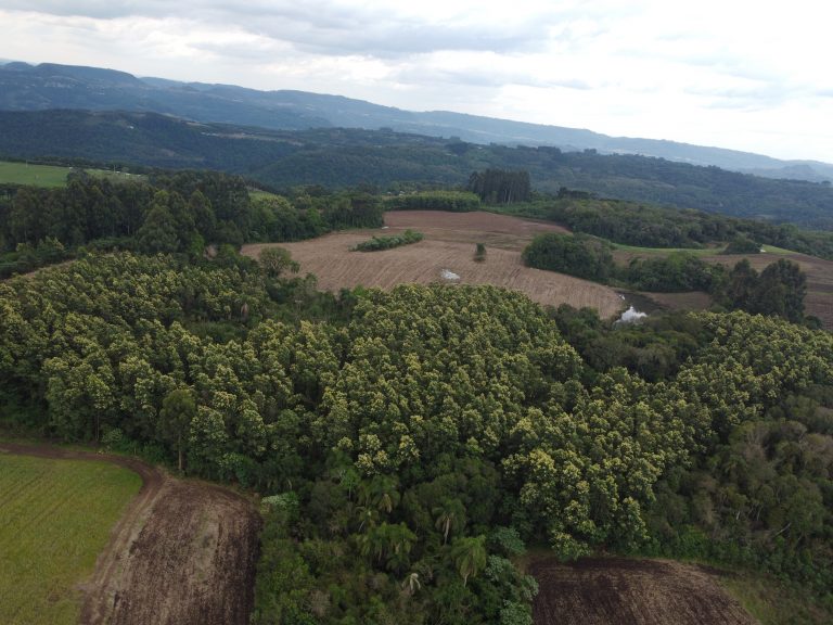 B-733  Área de Terras à Venda em Santa Maria do Herval – Beleza Natural e Grande Potencial!