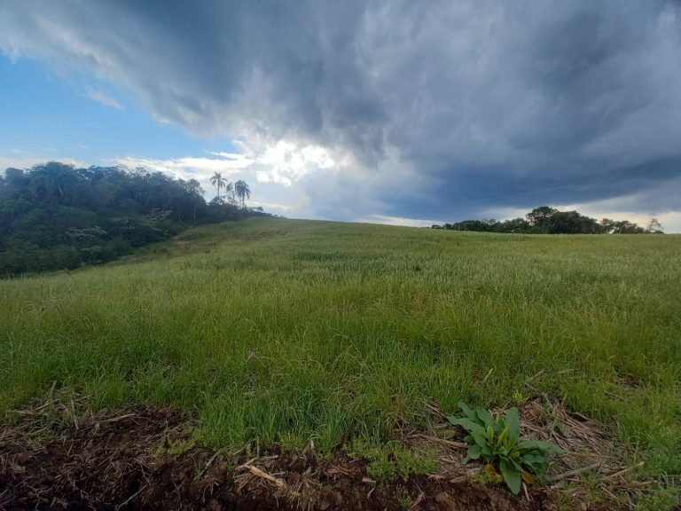 B-733  Área de Terras à Venda em Santa Maria do Herval – Beleza Natural e Grande Potencial!