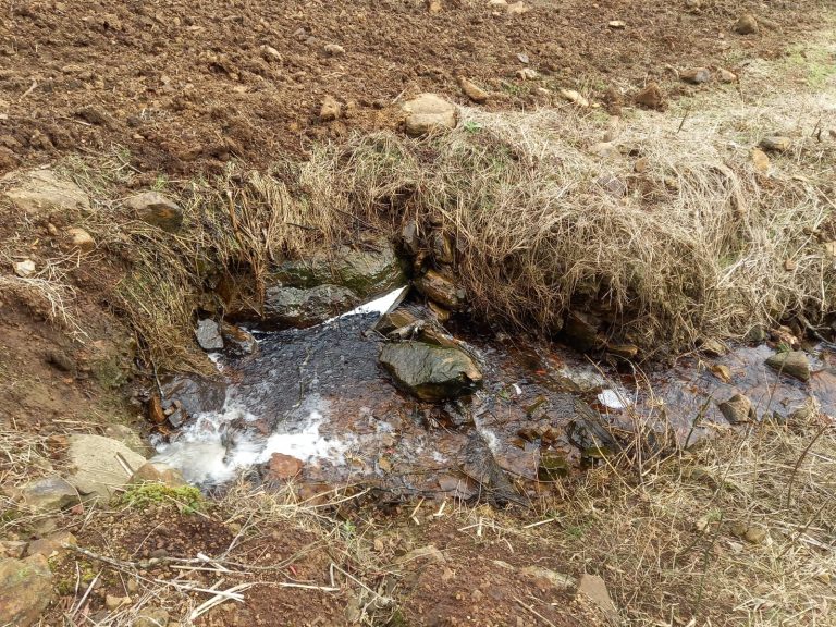 B-733  Área de Terras à Venda em Santa Maria do Herval – Beleza Natural e Grande Potencial!