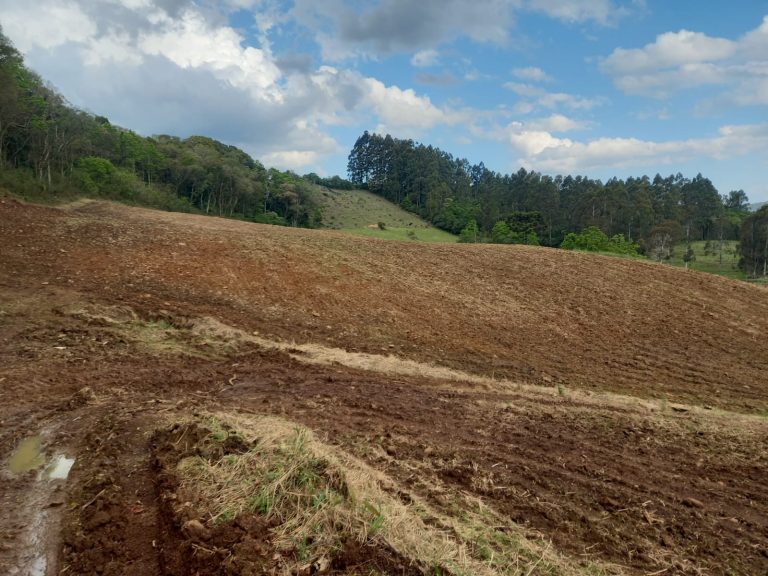 B-733  Área de Terras à Venda em Santa Maria do Herval – Beleza Natural e Grande Potencial!
