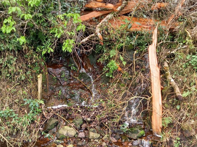 B-733  Área de Terras à Venda em Santa Maria do Herval – Beleza Natural e Grande Potencial!