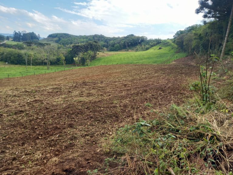 B-733  Área de Terras à Venda em Santa Maria do Herval – Beleza Natural e Grande Potencial!
