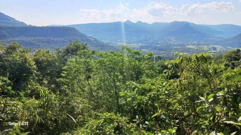 B-598     3,00 HECTARES DE TERRA POR UM PREÇO SEM IGUAL NA SERRA GAÚCHA!!!