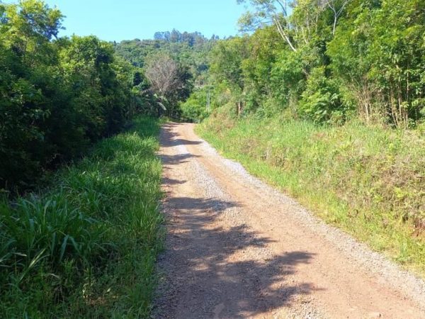 B-598     3,00 HECTARES DE TERRA POR UM PREÇO SEM IGUAL NA SERRA GAÚCHA!!!