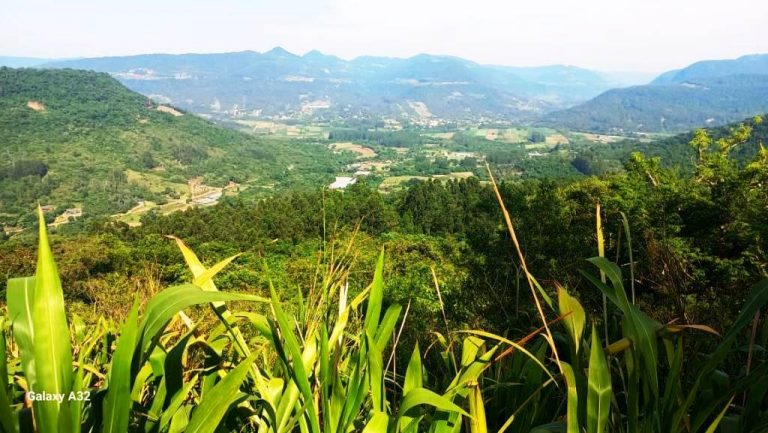 B-598     3,00 HECTARES DE TERRA POR UM PREÇO SEM IGUAL NA SERRA GAÚCHA!!!