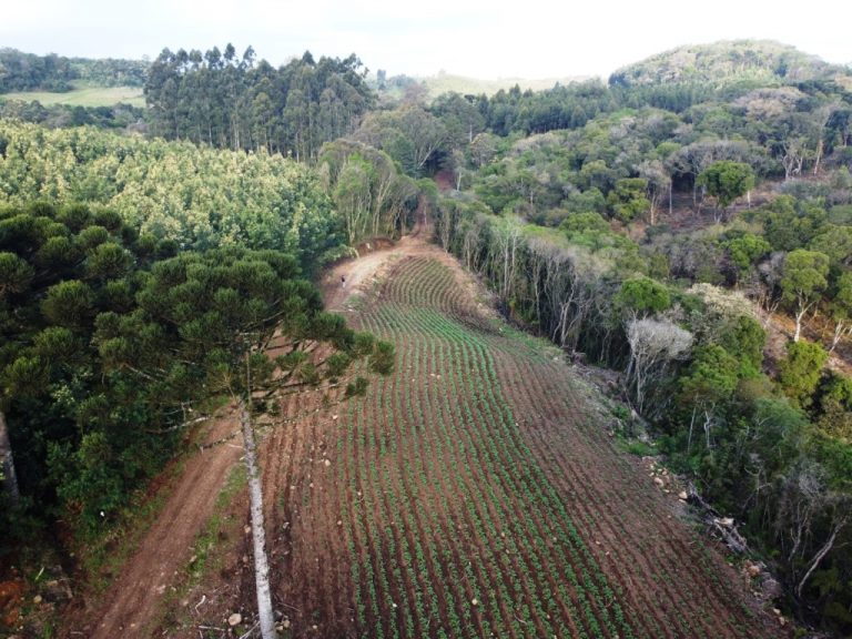 B-599     LINDÍSSIMA ÁREA DE TERRAS COM DUAS CASCATAS. SENDO UMA DELAS DE 80 METROS DE ALTURA!!!!