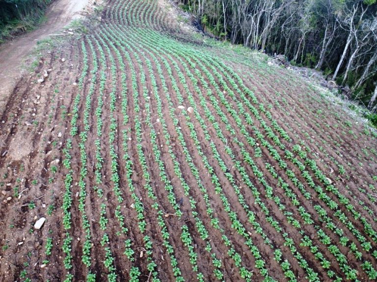 B-599     LINDÍSSIMA ÁREA DE TERRAS COM DUAS CASCATAS. SENDO UMA DELAS DE 80 METROS DE ALTURA!!!!