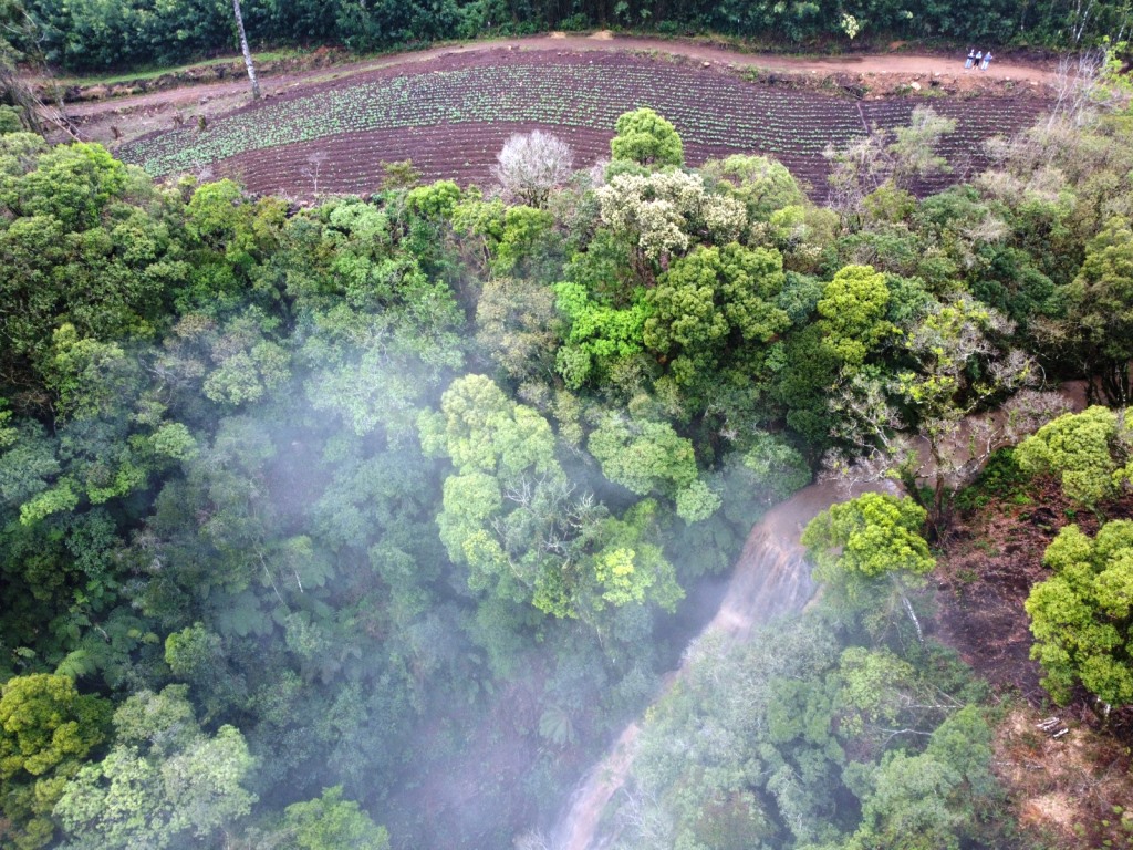 B-599     LINDÍSSIMA ÁREA DE TERRAS COM DUAS CASCATAS. SENDO UMA DELAS DE 80 METROS DE ALTURA!!!!