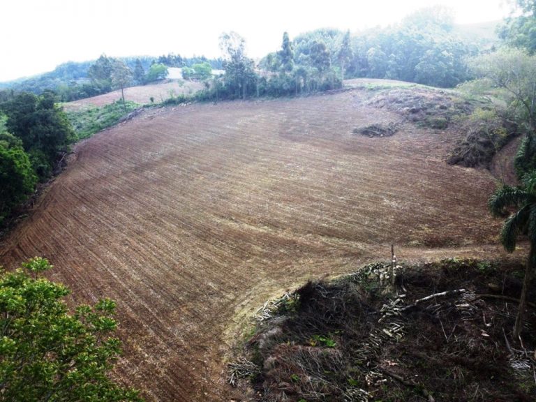 B-599     LINDÍSSIMA ÁREA DE TERRAS COM DUAS CASCATAS. SENDO UMA DELAS DE 80 METROS DE ALTURA!!!!