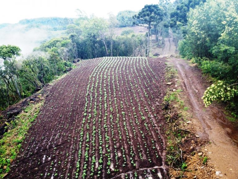 B-599     LINDÍSSIMA ÁREA DE TERRAS COM DUAS CASCATAS. SENDO UMA DELAS DE 80 METROS DE ALTURA!!!!