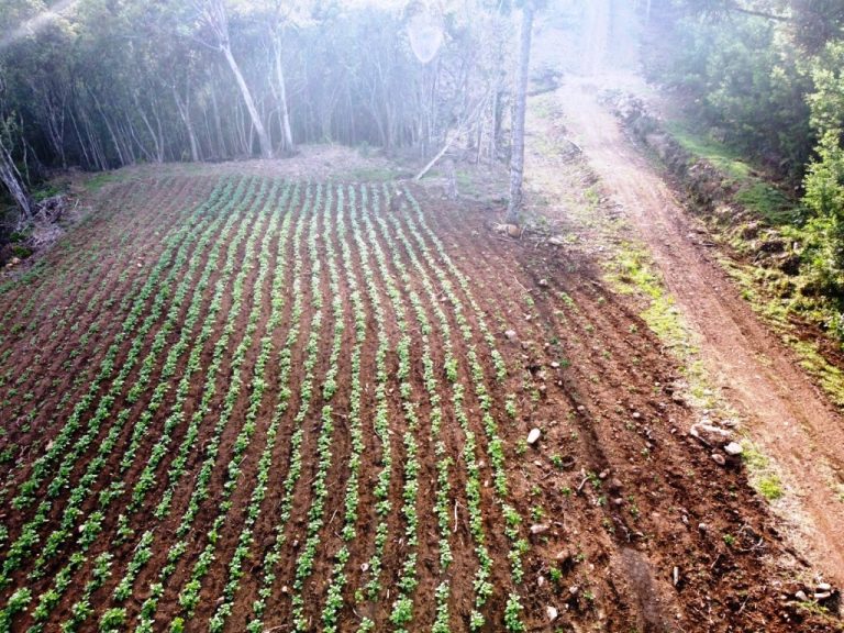 B-599     LINDÍSSIMA ÁREA DE TERRAS COM DUAS CASCATAS. SENDO UMA DELAS DE 80 METROS DE ALTURA!!!!