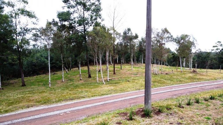 B-506     LINDA ÁREA DE TERRAS A VENDA EM IGREJINHA-RS!!!