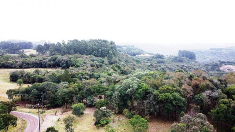 B-506     LINDA ÁREA DE TERRAS A VENDA EM IGREJINHA-RS!!!