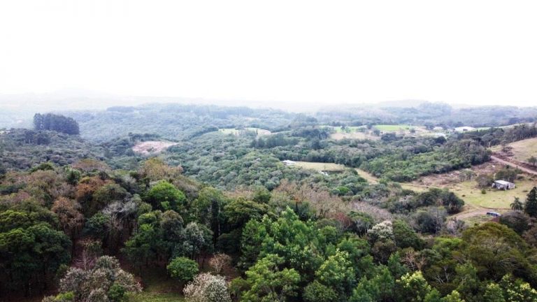 B-506     LINDA ÁREA DE TERRAS A VENDA EM IGREJINHA-RS!!!