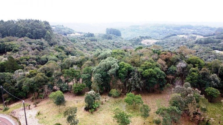 B-506     LINDA ÁREA DE TERRAS A VENDA EM IGREJINHA-RS!!!