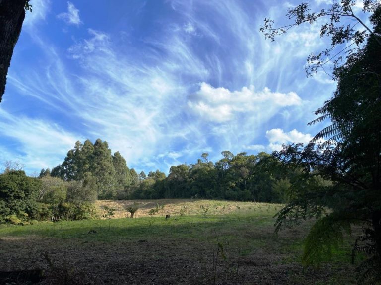 B-506     LINDA ÁREA DE TERRAS A VENDA EM IGREJINHA-RS!!!