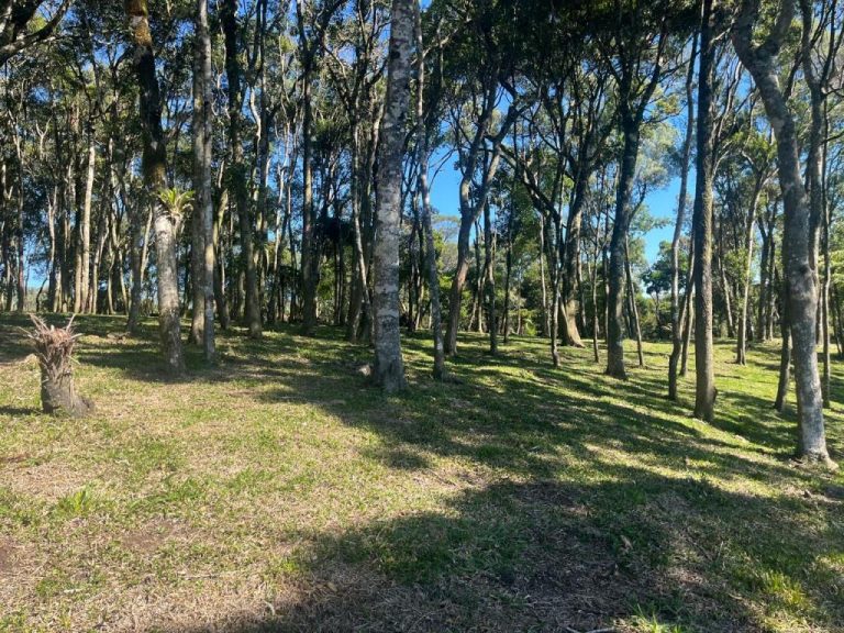 B-506     LINDA ÁREA DE TERRAS A VENDA EM IGREJINHA-RS!!!