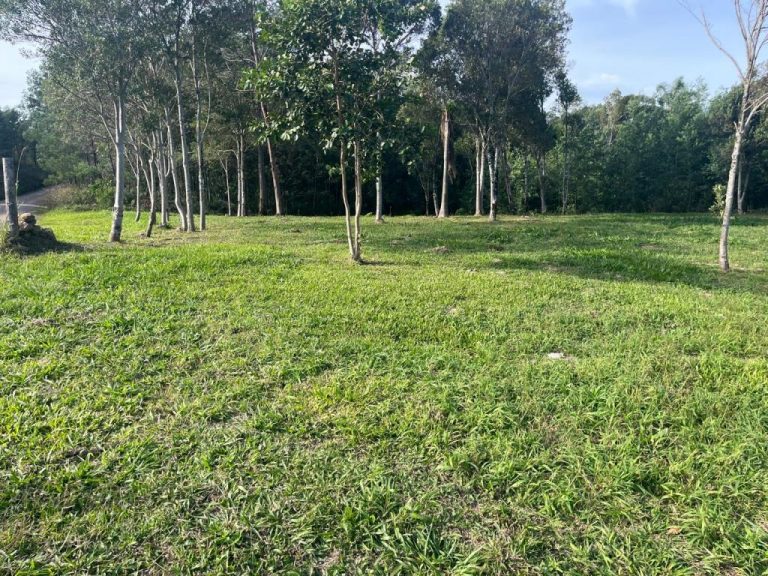 B-506     LINDA ÁREA DE TERRAS A VENDA EM IGREJINHA-RS!!!