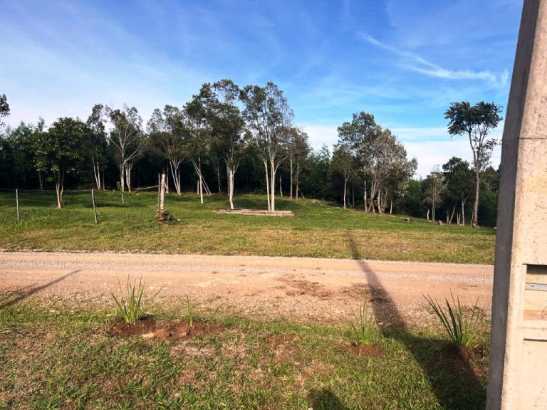 B-506     LINDA ÁREA DE TERRAS A VENDA EM IGREJINHA-RS!!!