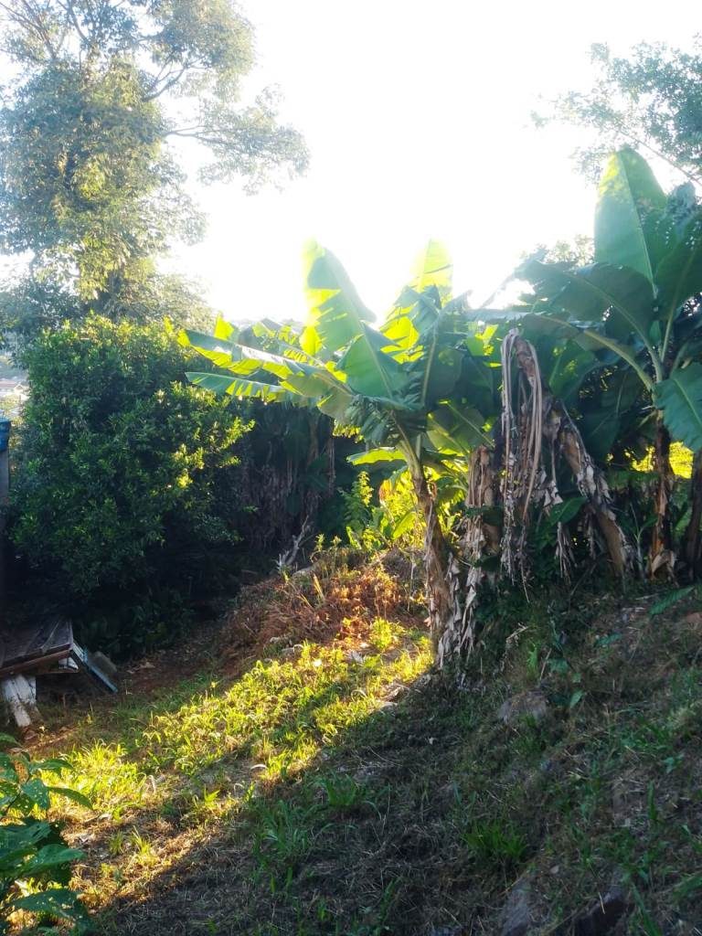 B-119     LINDO TERRENO POR PREÇO IMPERDÍVEL EM GRAMADO-SERRA GAÚCHA!!!
